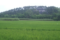 Field and mansion near Tu Duc's tomb