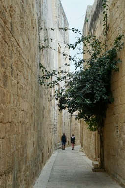 Lovely narrow street